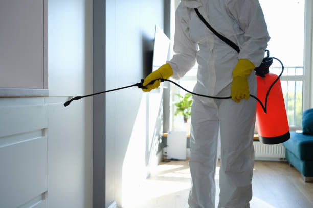 Best Mold Remediation Experts  in Dayton, NV